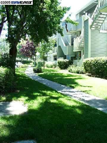 3501 BIRCHWOOD TER  #314, 40100497, FREMONT, Condo,  sold, Cory Dotson, REALTY EXPERTS®